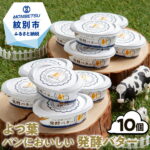 【ふるさと納税】11-93 よつ葉パンにおいしい発酵バター（100g）×10個