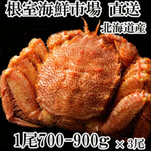 【ふるさと納税】【12月8日決済確定分まで年内配送】ボイル毛がに700〜900g×3尾 D-11004
