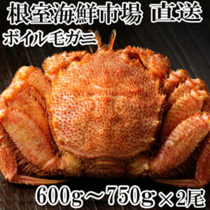 【ふるさと納税】【12月8日決済確定分まで年内配送】 根室海鮮市場＜直送＞ボイル毛がに600〜750g×2尾 C-28005