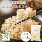 【ふるさと納税】玄米 きたくりん 選べる2kg〜10kg 特別栽培米産地直送《帰山農園》知内町 ふるさと納税 米 こめ 北海道産お米 北海道米 美味しいお米 北海道産米 道産米 ふるさと納税 秋 旬