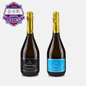 【ふるさと納税】【OcciGabi Winery】スパークリングワイン☆人気の2種飲み比べセット2☆（オチガビブラン・シャルドネ）オチガビワイナリー 北海道ふるさと納税 余市町 ふるさと納税ワイン ワイン泡