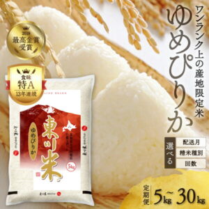 【ふるさと納税】【精米種別・初回配送月・容量・回数を選べる】【R7年産新米先行予約 定期便】「ゆめぴりかコンテスト2019」最高金賞受賞!東川米「ゆめぴりか」