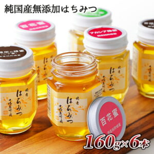 【ふるさと納税】十勝養蜂園　国産はちみつ小瓶食べ比べセット＜160g×6本＞　アカシア／トチ／シナ／百花蜜　※送料無料