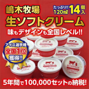 【ふるさと納税】A031-1 北海道 牧場の生ソフトクリーム＜120ml×14個＞