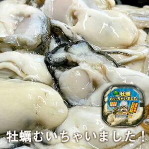 【ふるさと納税】北海道厚岸産 牡蠣むいちゃいました!(生食用)500g×1 【魚貝類・生牡蠣・かき・カキ・送料無料・新鮮・濃厚】