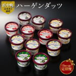 【ふるさと納税】【定期便】ハーゲンダッツ毎月お届けセット（計144個！）