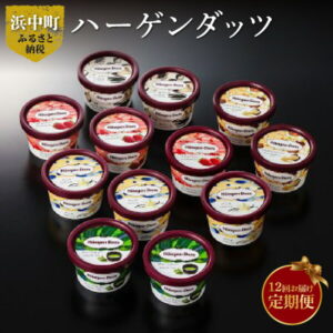 【ふるさと納税】【定期便】ハーゲンダッツ毎月お届けセット（計144個！）