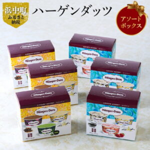 【ふるさと納税】ハーゲンダッツ アソートボックス　アイス　アイスクリーム　北海道　浜中町