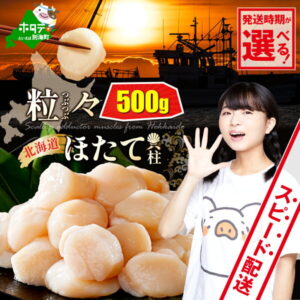 【ふるさと納税】高評価★4.86 ホタテ貝柱 500g 【 発送時期が選べる 】（ ふるさと納税 ホタテ 訳あり ふるさと納税 帆立 ふるさと納税 ホタテ貝柱 北海道産 ふるさと納税 訳あり 不揃い ホタテ玉冷 刺身 ほたて 人気 わけあり ふるさと ホタテ 貝柱 貝 北海道 別海町 ）