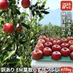 【ふるさと納税】3月 訳あり EM葉取らずサンふじ約10kg 糖度13度以上【弘前市産・青森りんご・3月】　【果物類・林檎・りんご・リンゴ・サンふじ・約10kg・訳あり】　お届け：2022年3月1日〜2022年3月20日