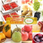 【ふるさと納税】山形の極み!人気フルーツ満喫定期便 年8回 F2Y-2872