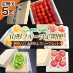 【ふるさと納税】FS21-019 【定期便5回】桐箱入れ　山形極上フルーツセット