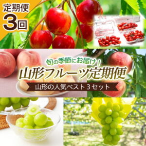 【ふるさと納税】FS21-020 【定期便3回】山形の人気ベスト3セット