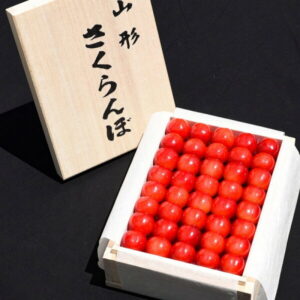 【ふるさと納税】さくらんぼ といえば山形! 農家直送 「佐藤錦」 500g 桐箱入り 特秀品 2Lサイズ 2022年産 【先行予約】 ( 令和4年産 お取り寄せ フルーツ 果物 くだもの 果実 サクランボ ご当地 特産 産地 高級 贈答 季節 四季 旬 東北 やまがた さがえ )