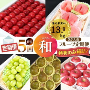 【ふるさと納税】贅沢5回 〜和〜 特秀品 箱詰 ふるさと納税 フルーツ 定期便 【2022年産 先行予約】（ お取り寄せ ご当地 グルメくだもの 旬 季節 頒布会 特秀 国産 東北 サクランボ 白 桃 モモ ラフランス ラ フランス りんご 林檎 やまがた さがえ ）
