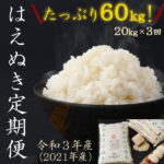 【ふるさと納税】【時期選べる】計60kg 新米 定期便 令和3年産 はえぬき 20kg（5kg×4袋）×3回 山形県産 （ お取り寄せ 特産 お米 精米 白米 小分け 便利 弁当 ごはん ご飯 コメ おかず おにぎり 東北 米どころ 単一原料米 ブランド米 清流 寒河江川 やまがた さがえ ）