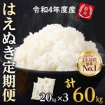 【ふるさと納税】【先行予約】新米 令和4年産 はえぬき ふるさと納税 米 定期便 計60kg (20kg(5kg×4袋)×3回) 元祖 山形県産( お取り寄せ 特産 お米 精米 白米 小分け 便利 弁当 ごはん ご飯 コメ おかず おにぎり 東北 米どころ 単一原料米 ブランド米 清流 寒河江川 )