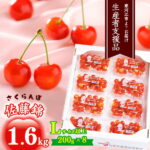 【ふるさと納税】《農家支援》さくらんぼ 「佐藤錦」 合計1.6kg Lサイズ以上（200g×8パック）《ご自宅用》【2022年6月中旬頃～下旬頃発送予定】 ／ お取り寄せ ご当地 特産 フルーツ 果物 果実 くだもの お裾分け 東北 2022年産 令和4年 山形県産