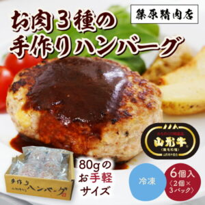 【ふるさと納税】0114-2001 お肉三種の手作りハンバーグ 6個入り