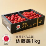 【ふるさと納税】GI「東根さくらんぼ」 佐藤錦1kgバラ詰め JA園芸部提供(2022年6月中旬〜下旬送付) 秀(着色面積70％)以上 L(直径22mm)以上 令和4年産 2022年産 先行予約 E-1914