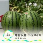 【ふるさと納税】 尾花沢産小玉スイカ(約2〜4kg)×2玉　7月中旬〜8月中旬頃発送 令和4年産 尾花沢スイカ すいか 西瓜 送料無料 山形県 尾花沢市