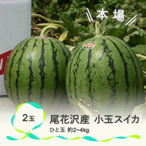 【ふるさと納税】 尾花沢産小玉スイカ(約2〜4kg)×2玉　7月中旬〜8月中旬頃発送 令和4年産 尾花沢スイカ すいか 西瓜 送料無料 山形県 尾花沢市