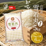【ふるさと納税】＜4月中旬発送＞庄内米6か月定期便！雪若丸無洗米 5kg（入金期限：2025.3.25） ふるさと納税 米 定期便 山形県