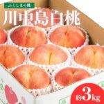 【ふるさと納税】No.2153福島のもも　川中島白桃　約3kg【2025年発送】桃 モモ フルーツ くだもの 果物 福島市 人気 返礼品 お取り寄せ 福島県産 1万円台