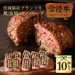 【ふるさと納税】常陸牛100%無添加・手捏ねハンバーグ10個入り