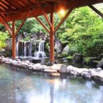 【ふるさと納税】楽天トラベルでも使える那須温泉旅館協同組合　ご宿泊利用券45,000円分 宿泊 旅行 チケット 宿泊券 楽天トラベル 温泉 露天風呂 旅行券 温泉 ホテル 〔H-8〕