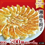【ふるさと納税】肉汁たっぷり 国産 ブランド豚 ルイビ豚 餃子 湘南ぎょうざ 100個 ~ 200個 (50個/1パック) 小分け 豚肉 焼き餃子 ぎょうざ 冷凍餃子 こだわり餃子 生餃子 ごはんのお供 晩酌のお供 簡単調理 時短 冷凍 簡易包装 手作り餃子 サノフーズ 神奈川 湘南 藤沢