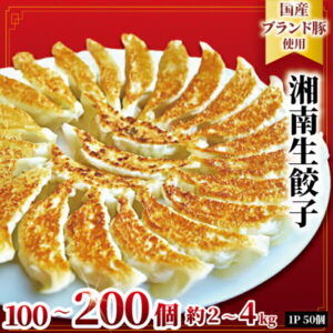 【ふるさと納税】肉汁たっぷり 国産 ブランド豚 ルイビ豚 餃子 湘南ぎょうざ 100個 ~ 200個 (50個/1パック) 小分け 豚肉 焼き餃子 ぎょうざ 冷凍餃子 こだわり餃子 生餃子 ごはんのお供 晩酌のお供 簡単調理 時短 冷凍 簡易包装 手作り餃子 サノフーズ 神奈川 湘南 藤沢