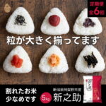 【ふるさと納税】 【6か月定期便】 新之助 5kg×6回 計 30kg 米杜氏 壱成 白米 精米 大粒 つや 光沢 弾力 芳醇