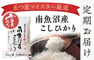 【ふるさと納税】 定期便 契約栽培　雪蔵貯蔵米　南魚沼産こしひかり（5kg×全12回） │ 送料無料 魚沼産 コシヒカリ 魚沼 新潟 こしひかり 新潟県産 白米 精米 米 お米 産直 産地直送 お取り寄せ お楽しみ