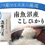 【ふるさと納税】 定期便 （5kg×全6回）無洗米　南魚沼産こしひかり │ 送料無料 魚沼産 コシヒカリ 魚沼 新潟 こしひかり 新潟県産 米 お米 産直 産地直送 お取り寄せ お楽しみ
