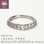 【ふるさと納税】リング 指輪 レディース プラチナ ダイヤモンド ジュエリー アクセサリー グラディエーション デザインリング 宝石 贈り物 プレゼント ジュエリーケース付 鑑別書付 保証書付 k098-015