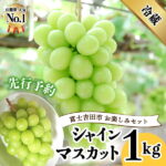 【ふるさと納税】 ガイアの夜明けで紹介されました！ シャインマスカット 選べる容量 600g 700g 1.2kg以上 2kg 3kg フルーツ ぶどう 果物 山梨県 2025 旬 大粒 富士吉田 先行予約 高級 富士吉田市 ブドウ 葡萄 くだもの 山梨 シャイン マスカット【2025年先行予約】