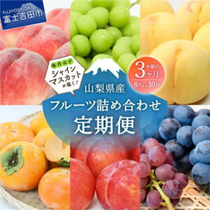 【ふるさと納税】 定期便 シャインマスカット フルーツ 詰め合わせ 山梨 メロン もも ネクタリン ぶどう 柿 梨 リンゴ 山梨 富士吉田 3ヶ月お届け 山梨産 (8〜10月)