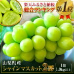 【ふるさと納税】毎年大好評！山梨県 先行予約 2022 シャインマスカット 厳選2房 ｜ 送料無料 予約 くだもの 果物 フルーツ シャイン ブドウ ぶどう 葡萄 山梨 やまなし 山梨県産 種なし 新鮮 産地直送 農家直送 故郷納税【冷蔵】数量限定※8月下旬〜10月中旬順次発送