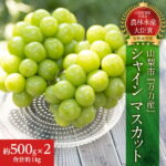 【ふるさと納税】先行受付中【生産者直送】山梨市『万力産』　シャインマスカット2房(1房500g程度)【1227218】