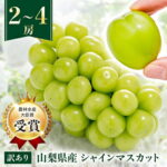 【ふるさと納税】【訳あり】シャインマスカット2房1kg以上/3~4房1.5kg以上 ※2025年8月下旬以降発送予定_ふるさと納税 シャインマスカット フルーツ 果物 訳アリ ぶどう ブドウ くだもの 人気 マスカット 山梨 山梨県 山梨市【配送不可地域：離島】【G1456435】