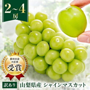 【ふるさと納税】【訳あり】シャインマスカット2房1kg以上/3~4房1.5kg以上 ※2025年8月下旬以降発送予定_ふるさと納税 シャインマスカット フルーツ 果物 訳アリ ぶどう ブドウ くだもの 人気 マスカット 山梨 山梨県 山梨市【配送不可地域：離島】【G1456435】