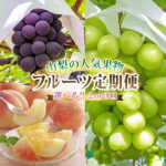 【ふるさと納税】ランキング急上昇中!_【定期便】2025年発送 山梨フルーツ旬の果物 桃、巨峰、シャインマスカット 全2回or全3回_ シャインマスカット 桃 もも モモ 巨峰 ぶどう ブドウ 葡萄 マスカット 山梨県 山梨市 定期便 果物【配送不可地域：離島・沖縄県】【G4005775】