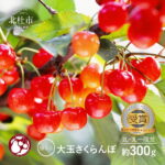 【ふるさと納税】 さくらんぼ 先行予約 フルーツ グランプリ 極上品大玉・さくらんぼ 2L〜3L 一段並べ 約300g／毎日農業記録賞・全国最優秀賞受賞※2022年6月中旬以降の発送 送料無料