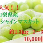 【ふるさと納税】 人気 シャインマスカット約1.3kg 2〜3房山梨 シャインマスカット フルーツ