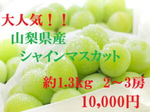 【ふるさと納税】 人気 シャインマスカット約1.3kg 2〜3房山梨 シャインマスカット フルーツ