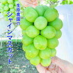 【ふるさと納税】大房 シャインマスカット 2房 1.4kg以上フルーツ王国 笛吹市 大粒 大容量 食べ応え抜群 大好評