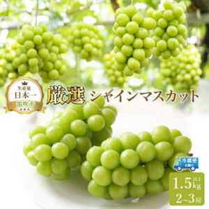 【ふるさと納税】＜25年発送先行予約＞厳選シャインマスカット　1.5kg以上 2～3房 ふるさと納税 シャインマスカット 笛吹市 国産 人気 期間限定 ぶどう ブドウ 葡萄 旬 果物 フルーツ 山梨県 送料無料 111-014