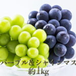 【ふるさと納税】【2022年秋発送 先行予約】長野市産ナガノパープル＆シャインマスカット詰合せ約1kg　※オンライン決済限定　【果物類・ぶどう・マスカット・フルーツ・果物】　お届け：2022年9月上旬〜10月中旬