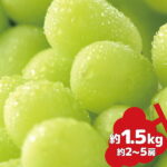 【ふるさと納税】シャインマスカット 約2～5房（約1.5kg）《信州グルメ市場》■2022年発送■※9月中旬頃～10月下旬頃まで順次発送予定 果物 フルーツ ぶどう ブドウ 葡萄 先行予約 期間限定 数量限定